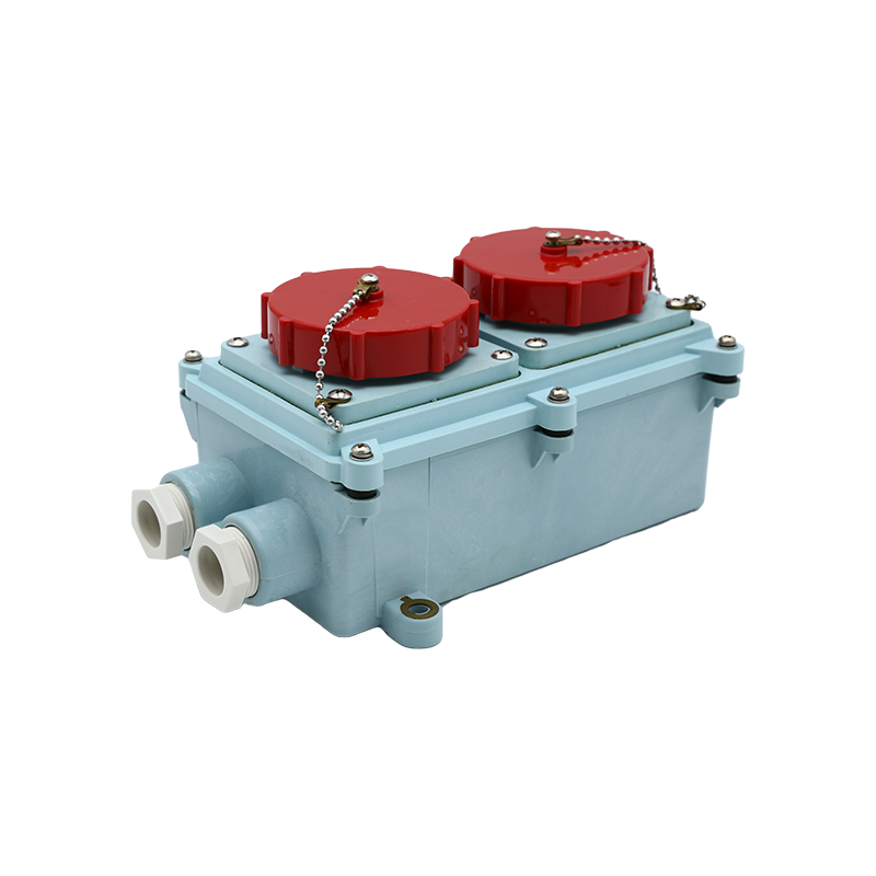 Морская солнечная розетка-792768