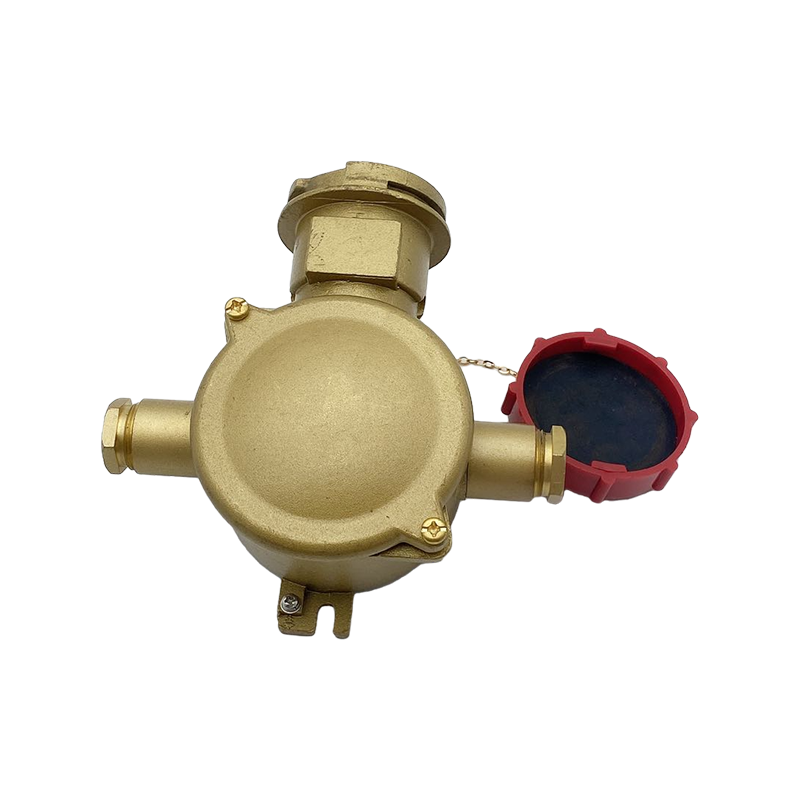 Латунная электрическая розетка с блокировочным выключателем-CZS3-2 1I4